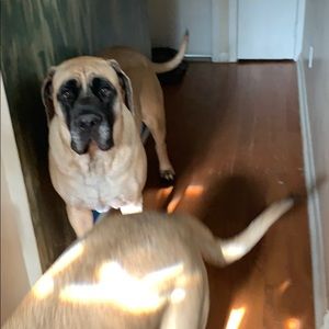 Meet your Posher, Jackie